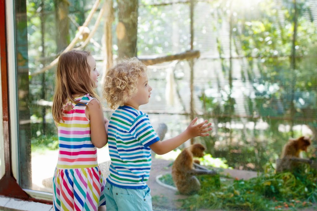 Enjoy a Day at The Milwaukee County Zoo