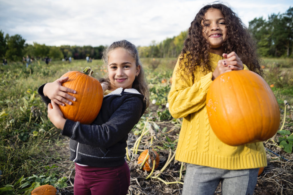 Two girls picking pumpkins in a field.