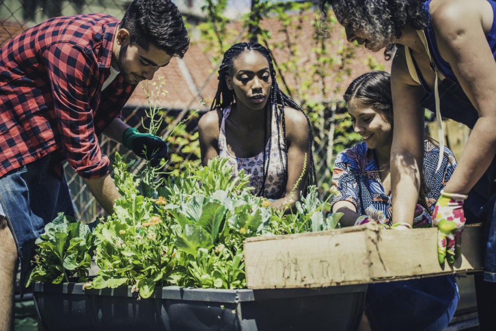 Young people learning urban gardening