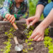 Your August Gardening Checklist