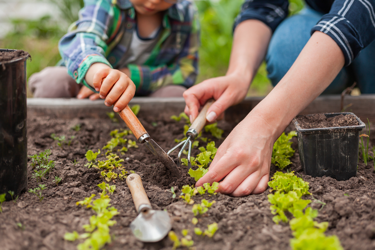 son and parent gardening together