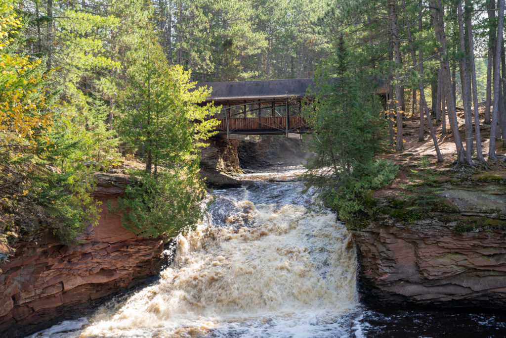 rushing river in the woods